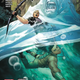 Image: Marvel Comics; cover by Carlos Pacheco and Sonia Oback